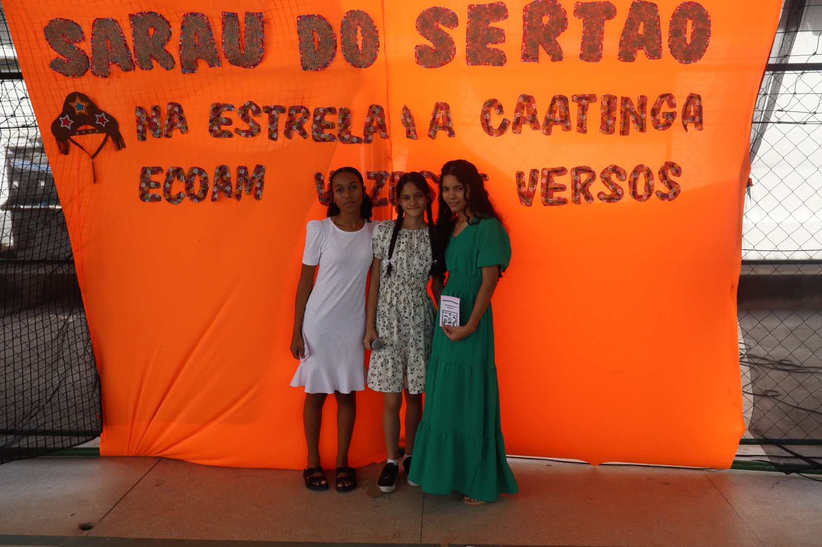 Imagem 008